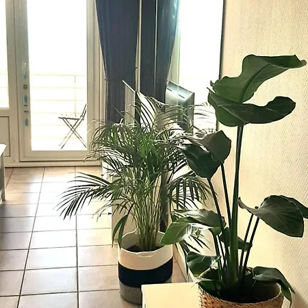 Lo & L'oo Apartman Ostende