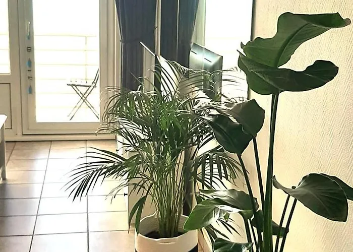 Lo & L'oo Apartmán Ostende